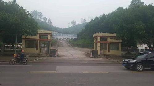 明星到重庆忠县拍戏,演绎古韵风情新篇章